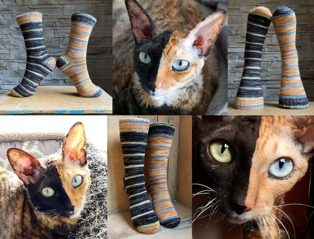 Knitting Kit - STELLA the Two Face Cat socks - Biscotte Yarns