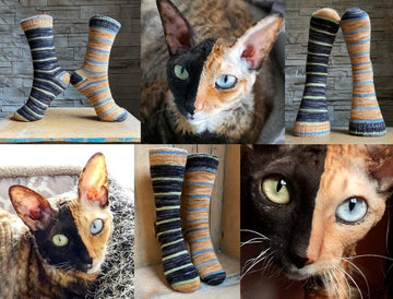 Knitting Kit - STELLA the Two Face Cat socks - Biscotte Yarns