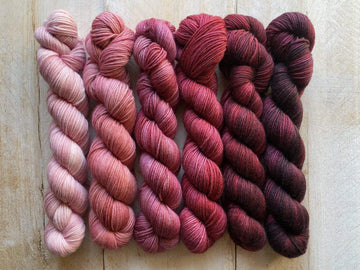Mini Skeins of Yarn PAINTBOX gradient yarn set BLUSH - Biscotte Yarns