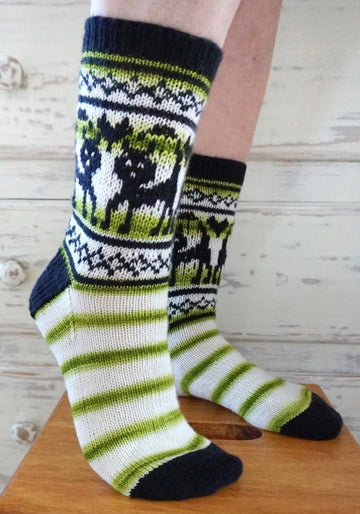 knitting kit | Socks Claws for Thought - Biscotte Yarns