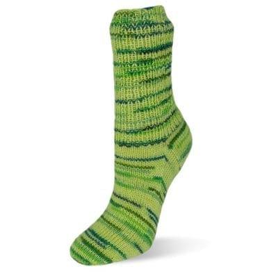 Flotte Sock Primavera Stretch - Biscotte Yarns