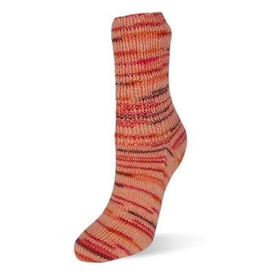 Flotte Sock Primavera Stretch - Biscotte Yarns