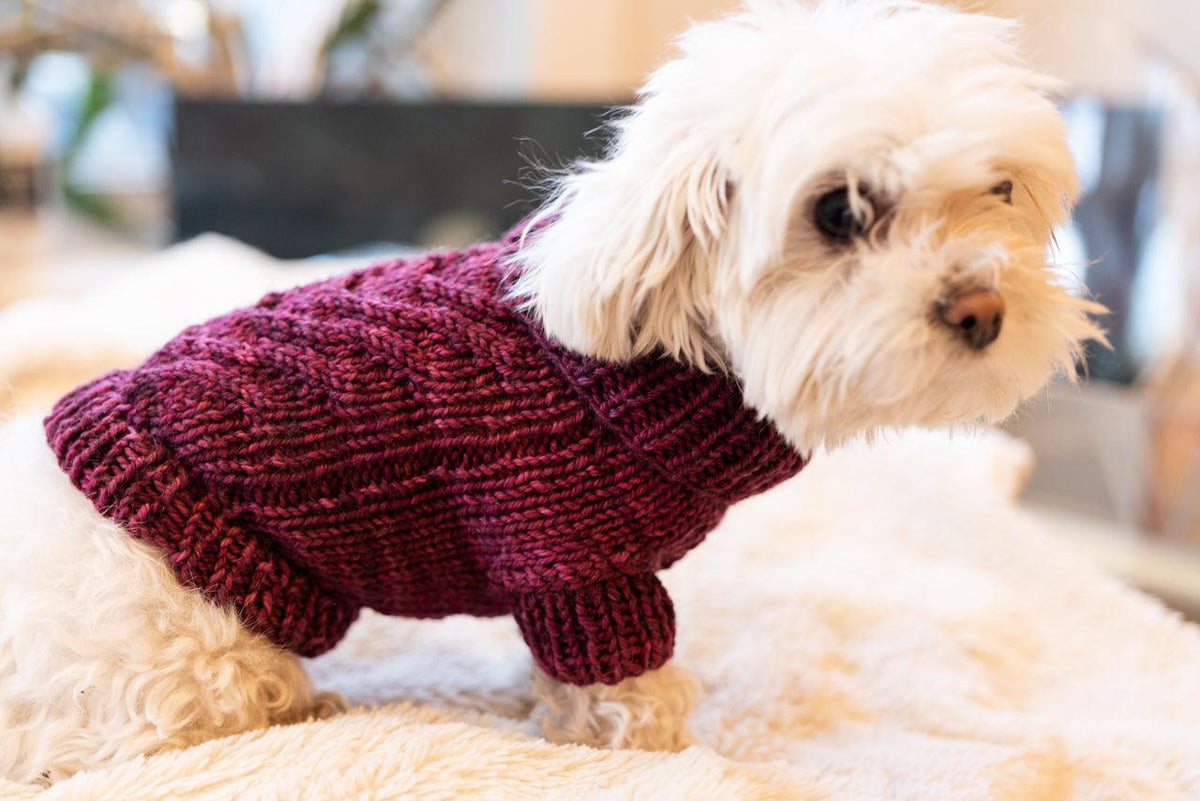 Engel Pullover | Dog Pattern - Biscotte Yarns