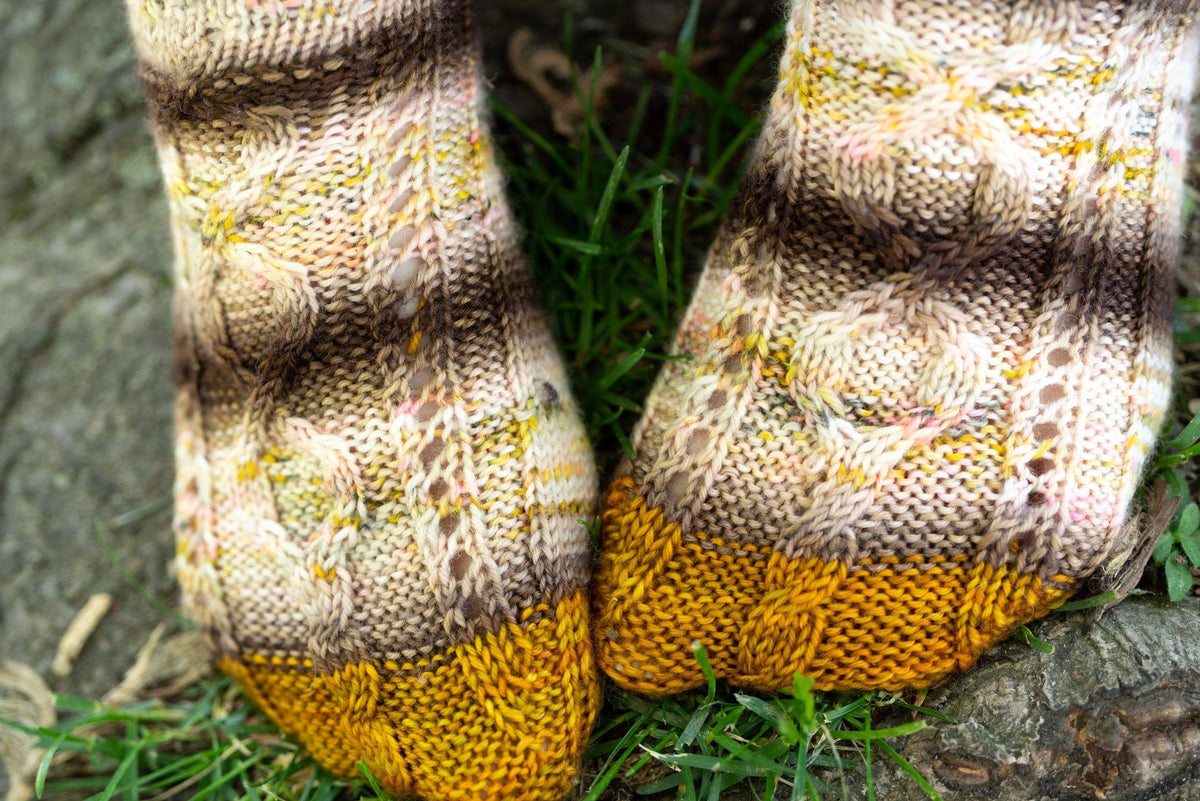 Tree Hollow | Socks Pattern - Biscotte Yarns