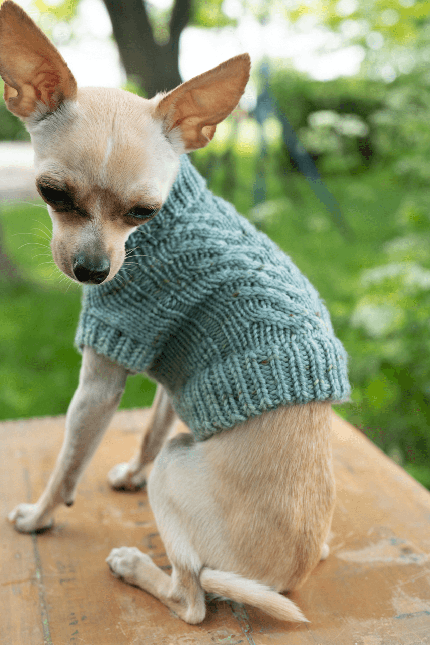 Engel Pullover | Dog Pattern - Biscotte Yarns