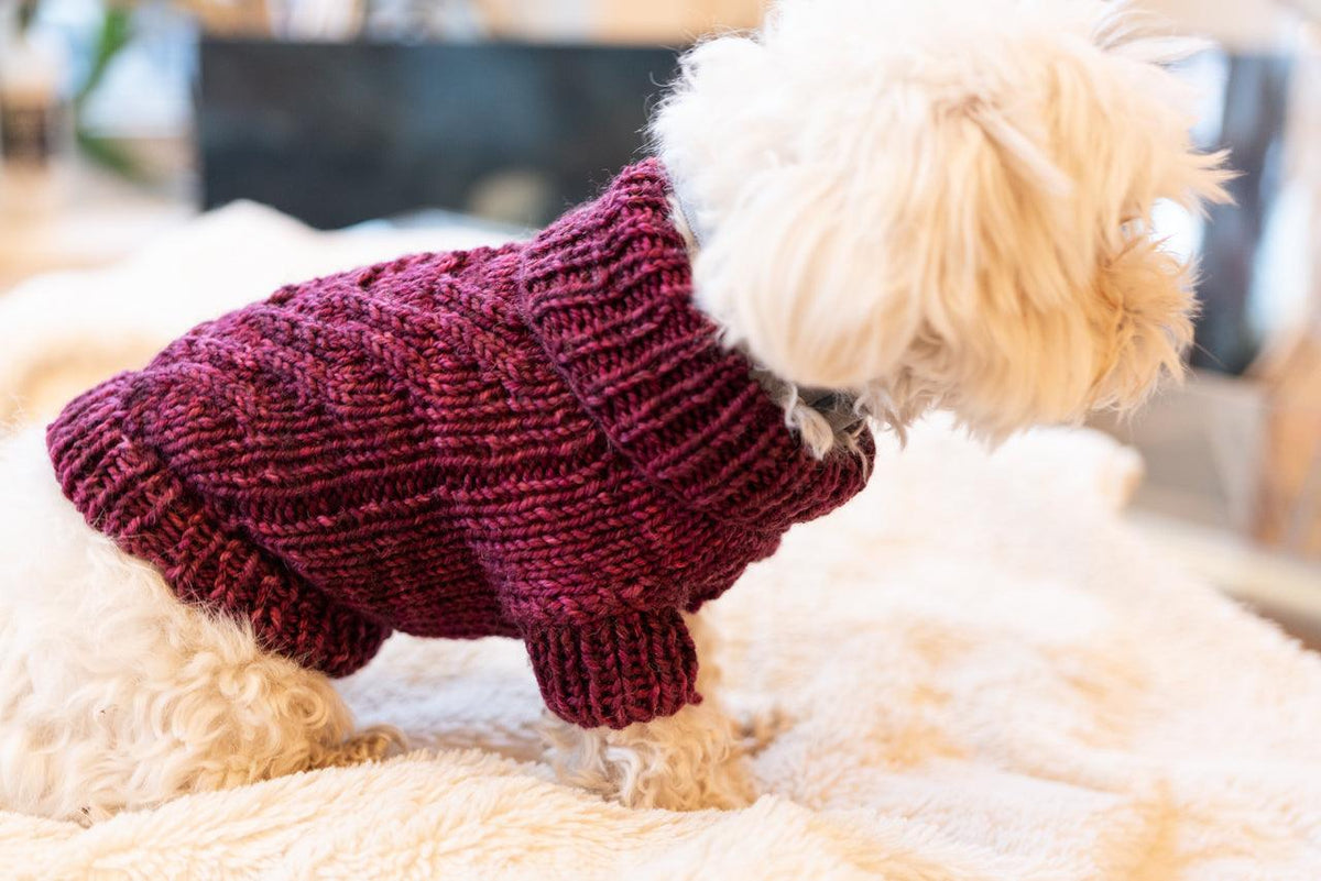 Engel Pullover | Dog Pattern - Biscotte Yarns