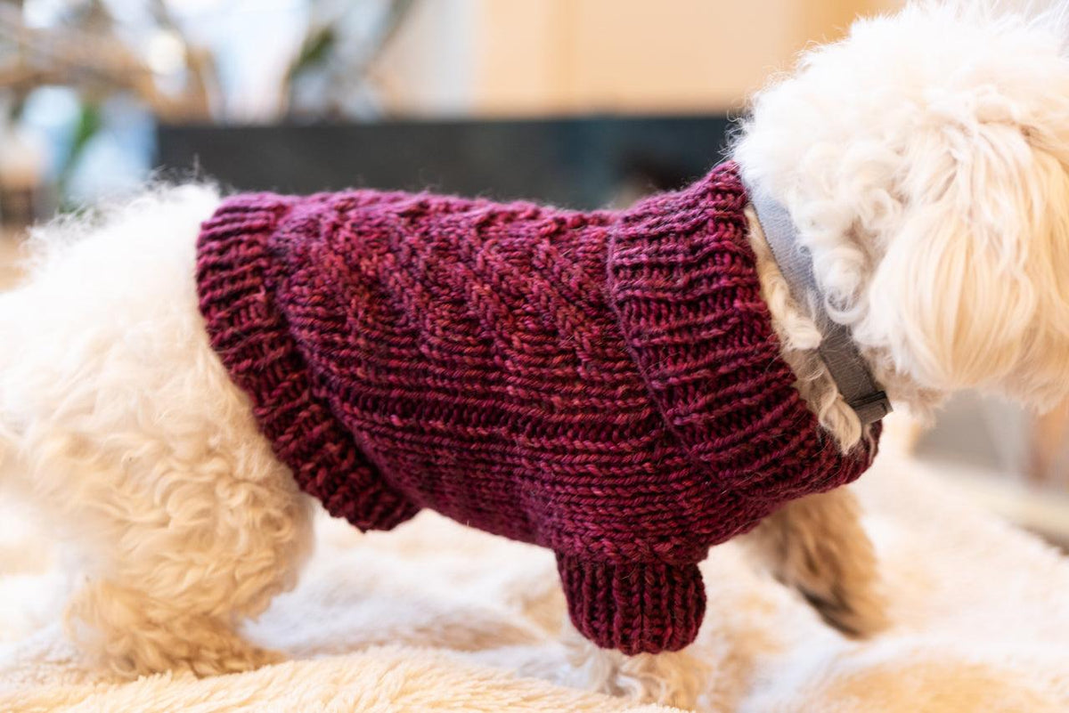 Engel Pullover | Dog Pattern - Biscotte Yarns