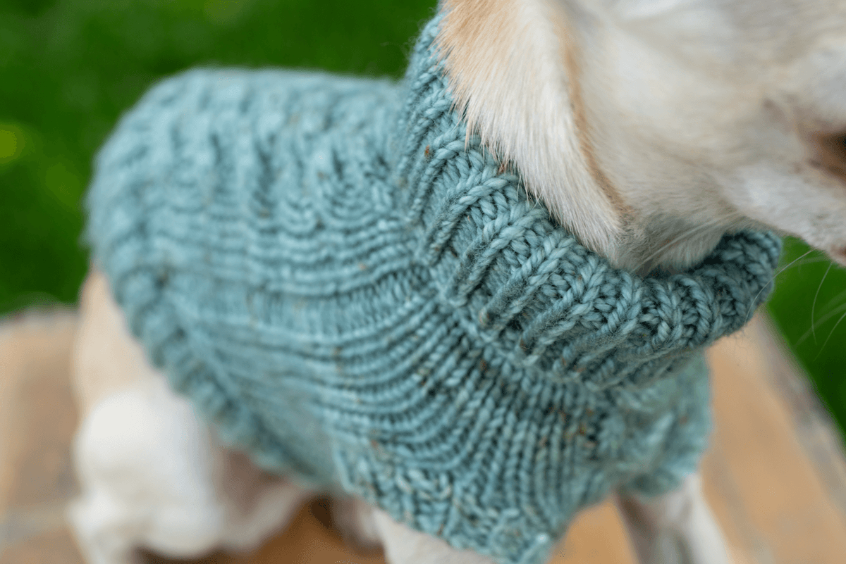 Engel Pullover | Dog Pattern - Biscotte Yarns