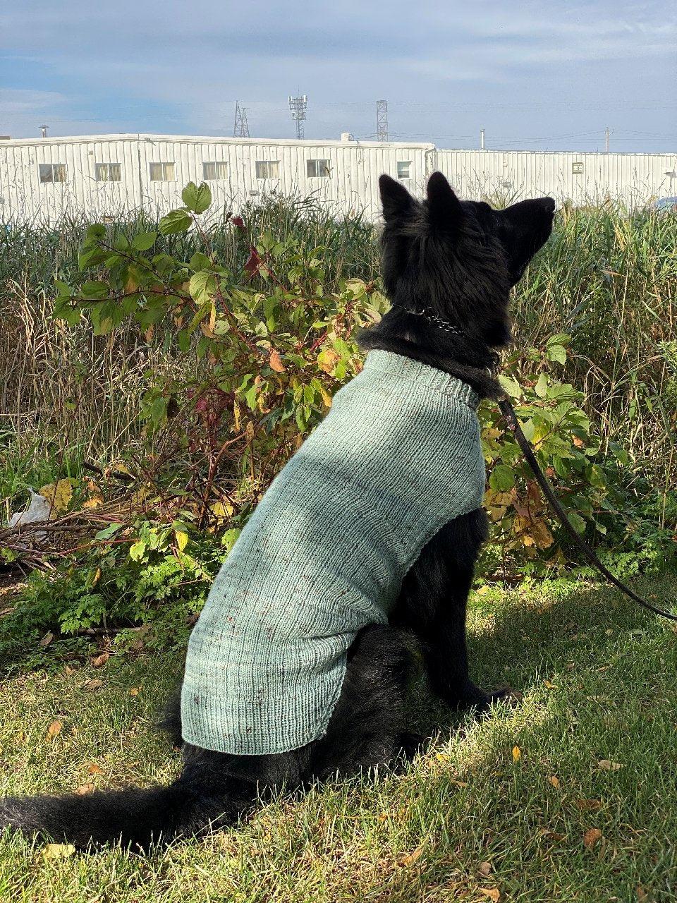 Free knitting pattern for large dog sweater hotsell