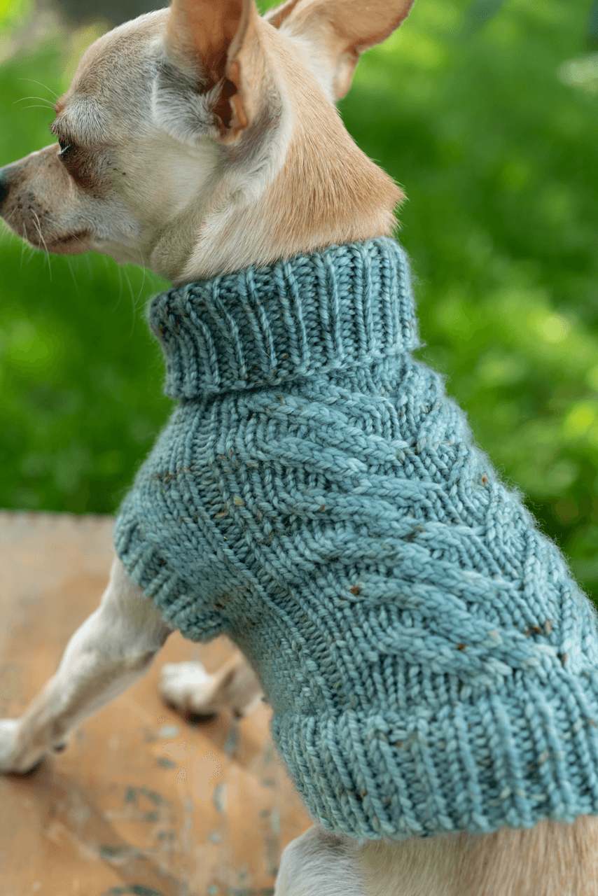 Engel Pullover | Dog Pattern - Biscotte Yarns