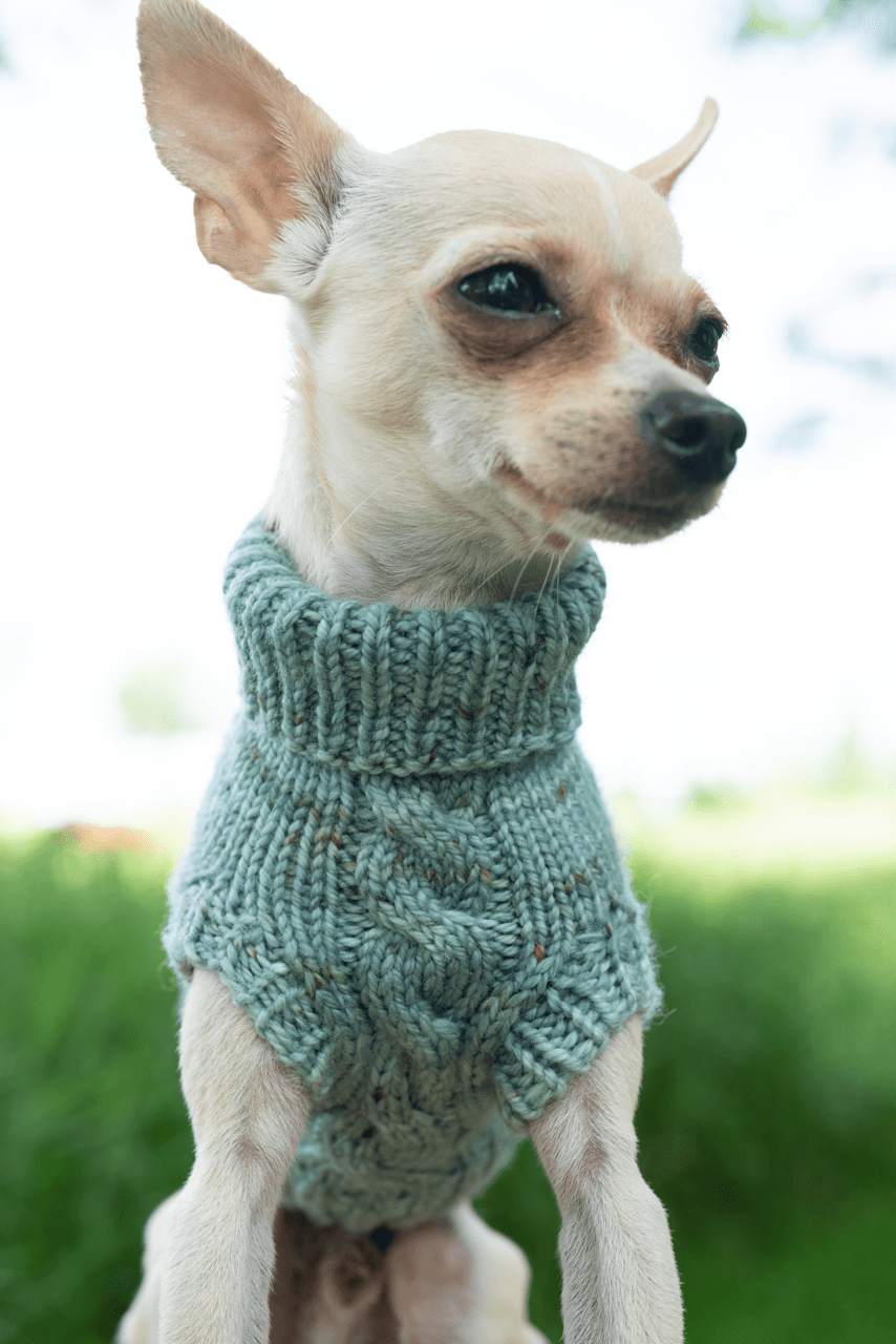 Engel Pullover | Dog Pattern - Biscotte Yarns