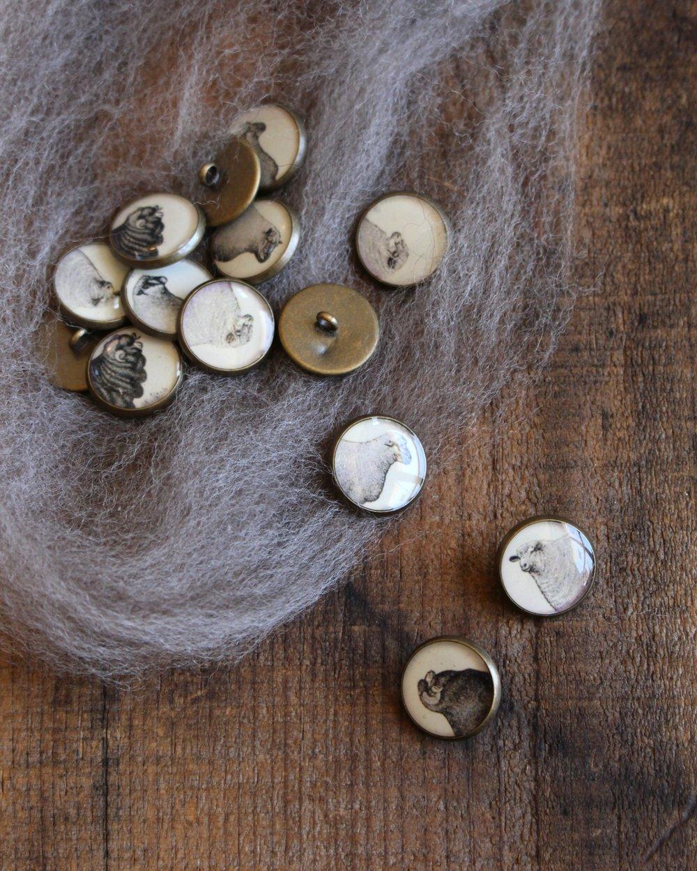 Resin Sheep Buttons / Set of 4 🐦 - Biscotte Yarns