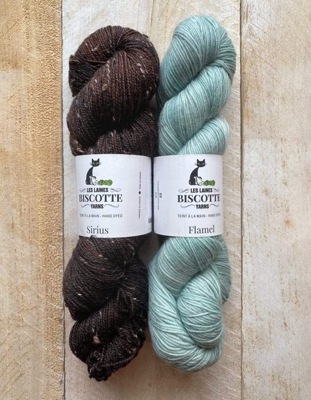 Les Gens de La Ville Mittens Kit 🏡 - Biscotte Yarns