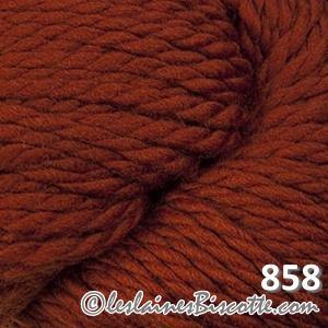 Cascade Yarns 128 Superwash - Biscotte Yarns