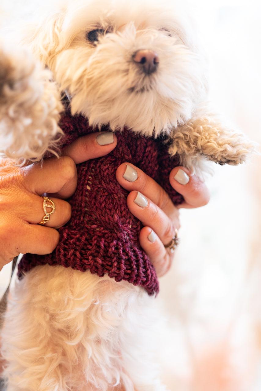 Engel Pullover | Dog Pattern - Biscotte Yarns