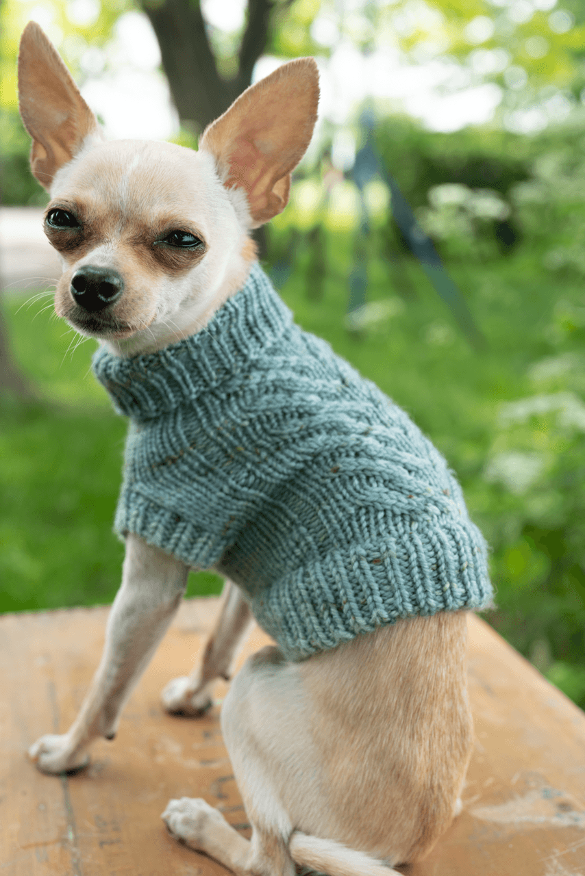 Engel Pullover | Dog Pattern - Biscotte Yarns