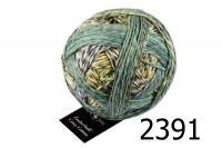 Zauberball Crazy Cotton - Biscotte Yarns