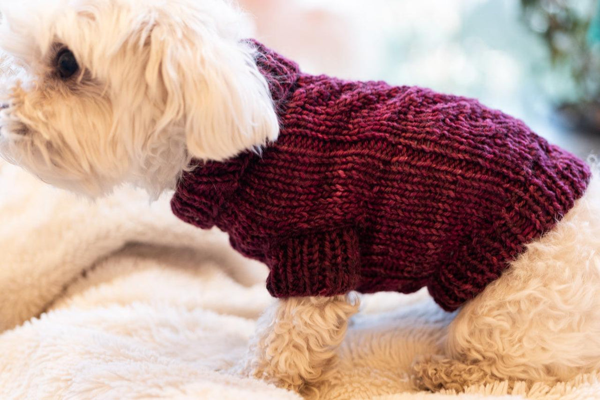 Engel Pullover | Dog Pattern - Biscotte Yarns