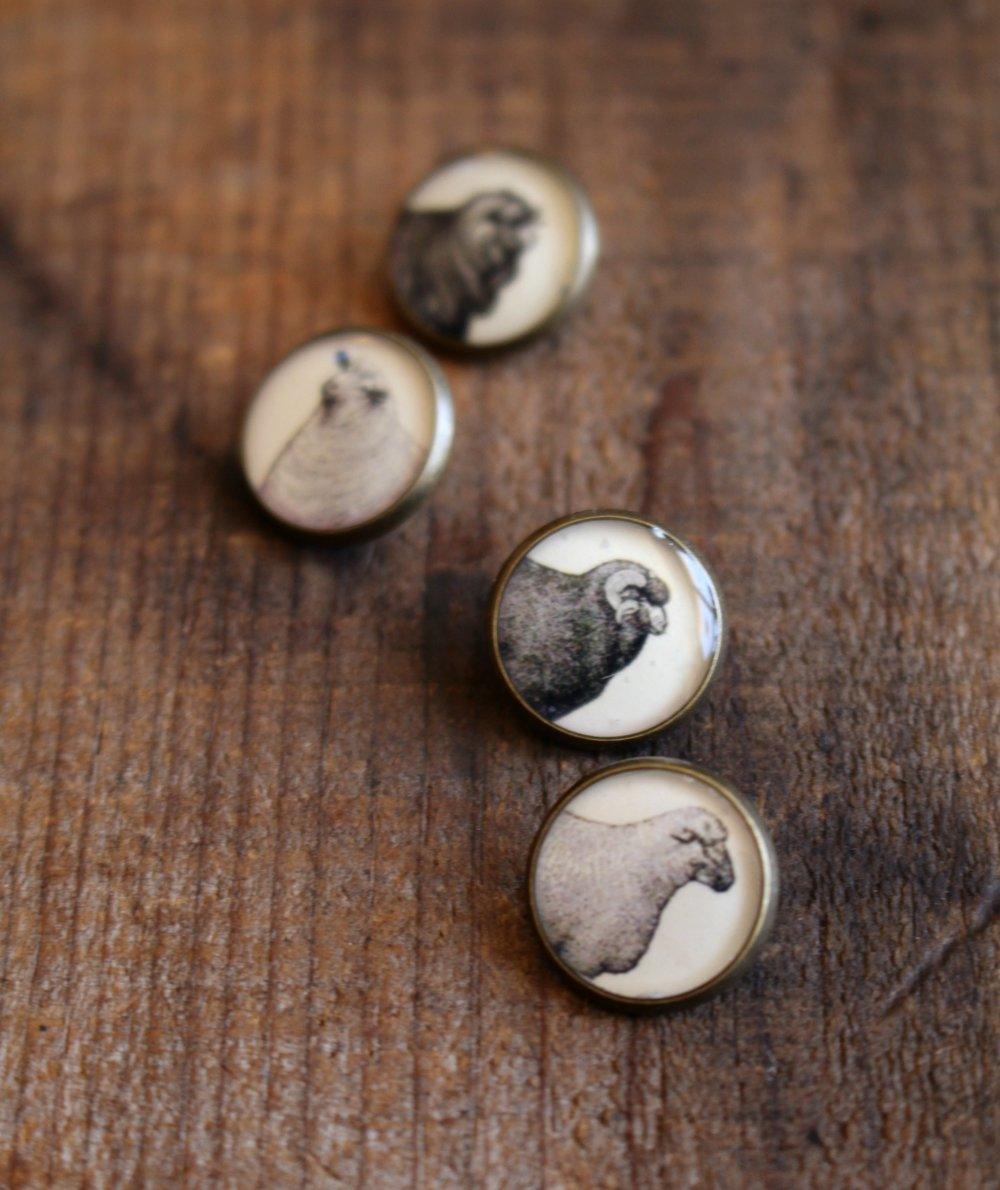 Resin Sheep Buttons / Set of 4 🐦 - Biscotte Yarns