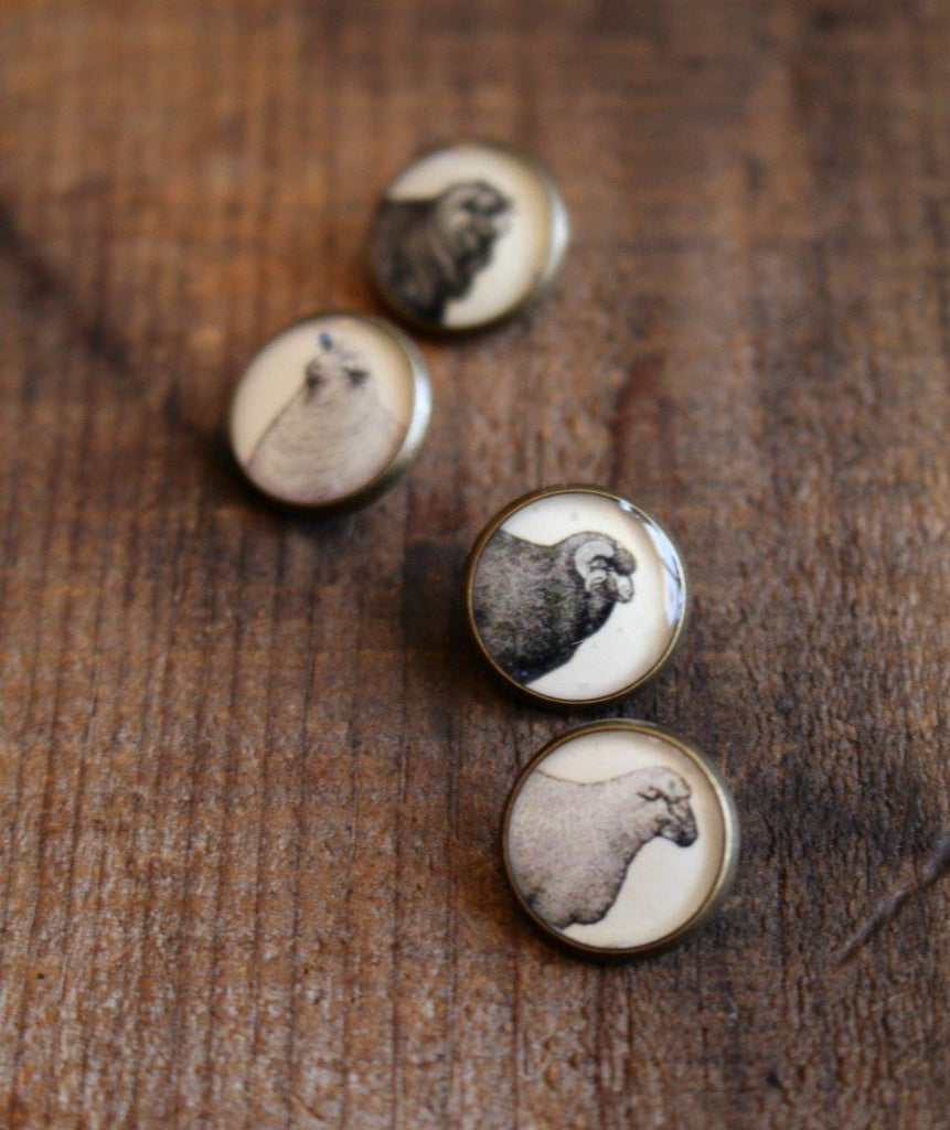 Resin Sheep Buttons / Set of 4 - DISC - Biscotte Yarns