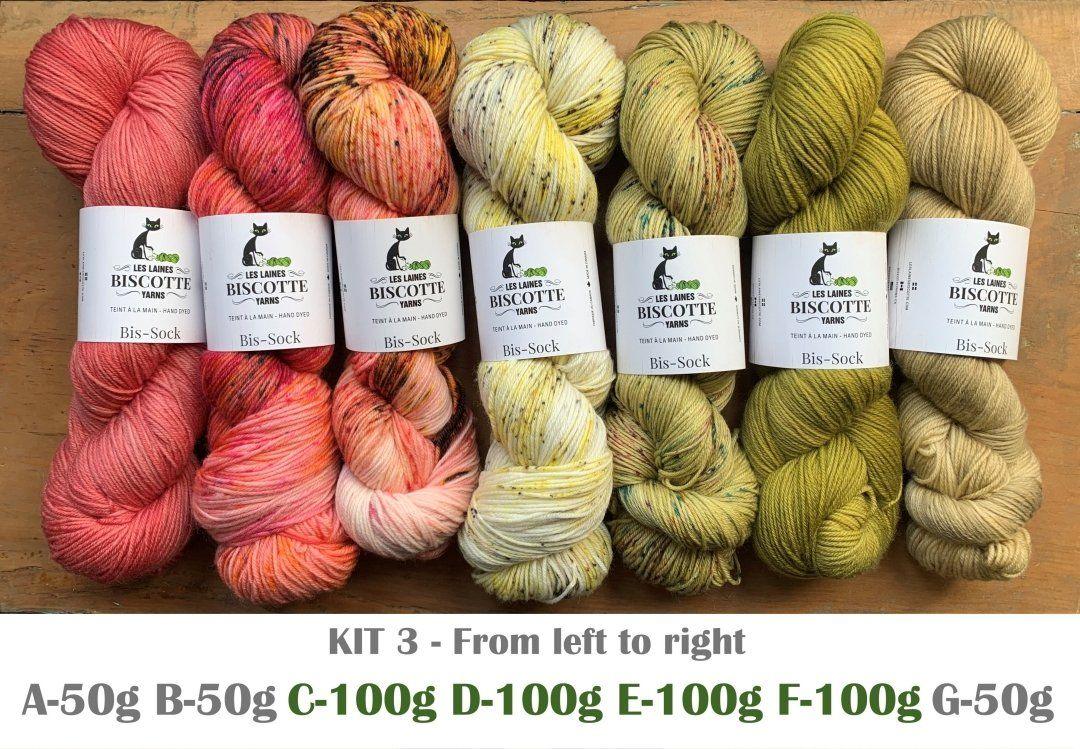 Knitting kit - FIND YOUR FADE shawl by Andrea Mowry - Biscotte Yarns