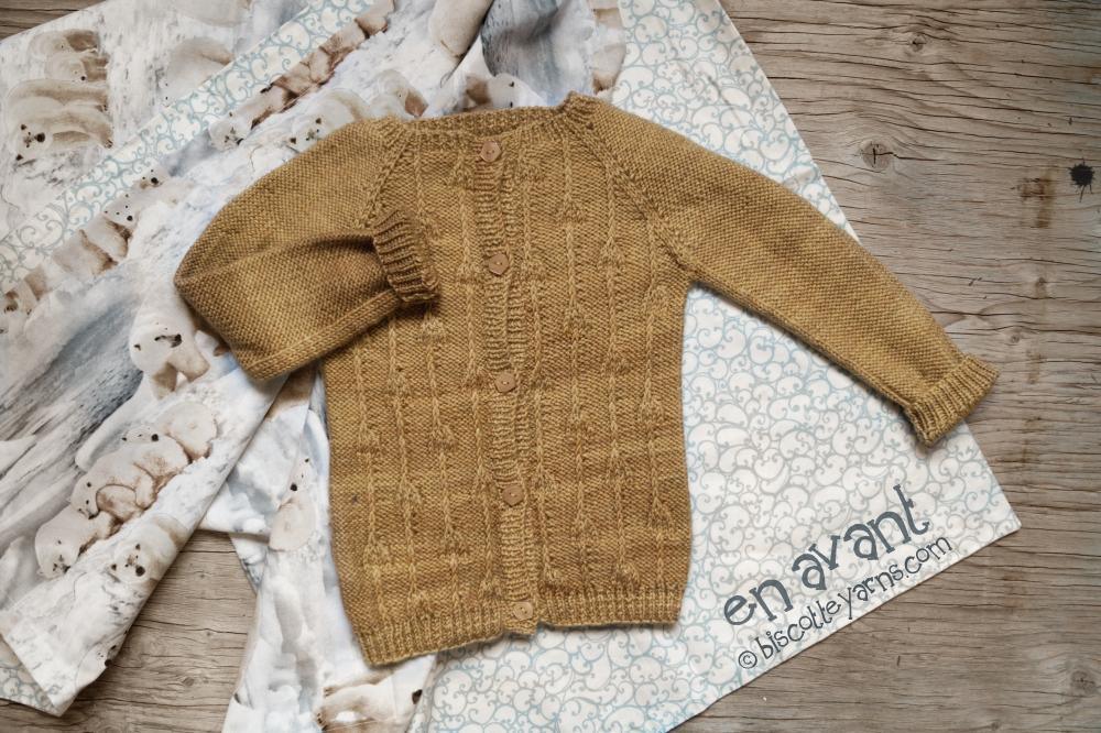 Knitting pattern for Baby Cardigan En Avant! - Biscotte Yarns