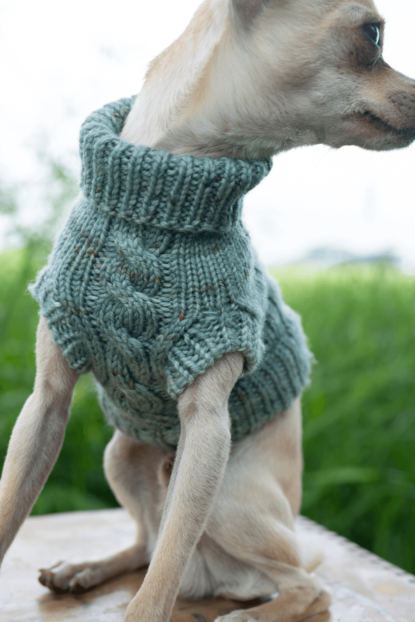 Engel Pullover | Dog Pattern - Biscotte Yarns