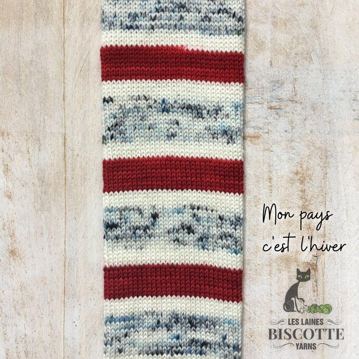 BIS-SOCK MON PAYS C'EST L'HIVER - Biscotte Yarns